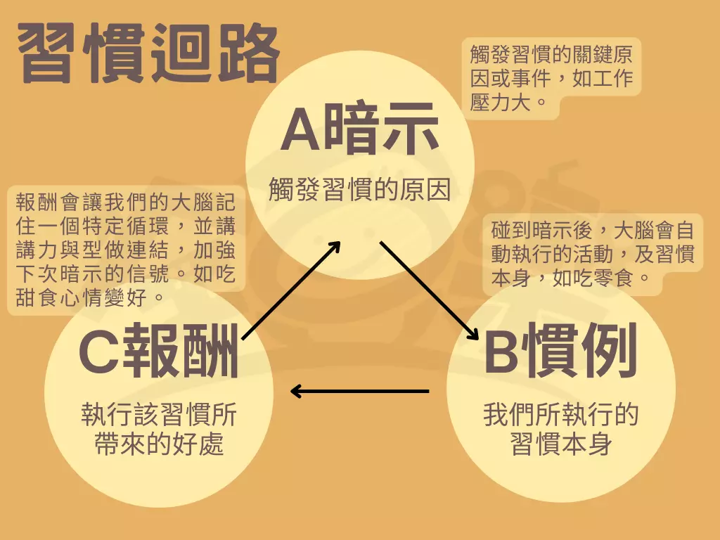 圖 全豆樂版權所有/習慣迴路的運作。
